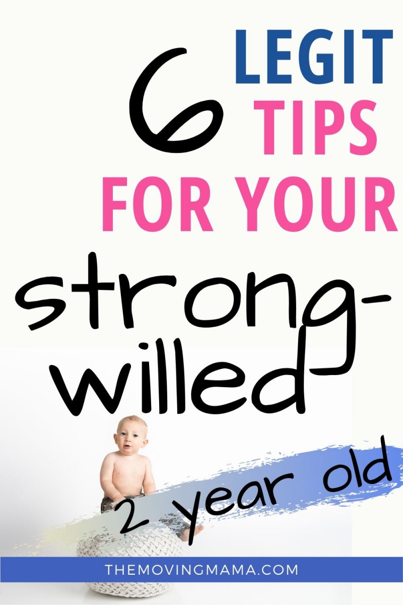 6 Tips for Your Strong Willed 2 Year Old